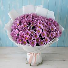 Букет цветов из:  Хризантемы в Гай-Кодзор