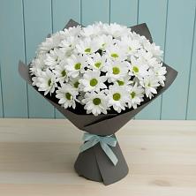 Букет цветов из:  Хризантемы в Гай-Кодзор