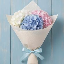 Букет цветов из:  Гортензия в Гай-Кодзор
