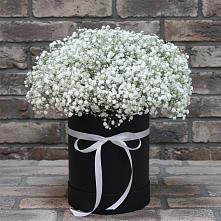 Цветочная композиция из Гипсофила в шляпной коробке в Гай-Кодзор