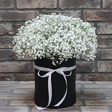 Цветочная композиция из Гипсофила в шляпной коробке в Гай-Кодзор