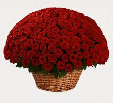 Премиум букет из: Розы в Гай-Кодзор