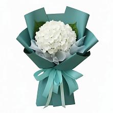 Букет цветов из:  Гортензия #REPLACE_PRED# Гай-Кодзор